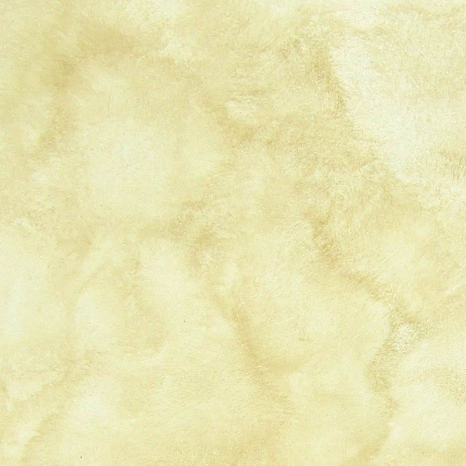 textured matt paint